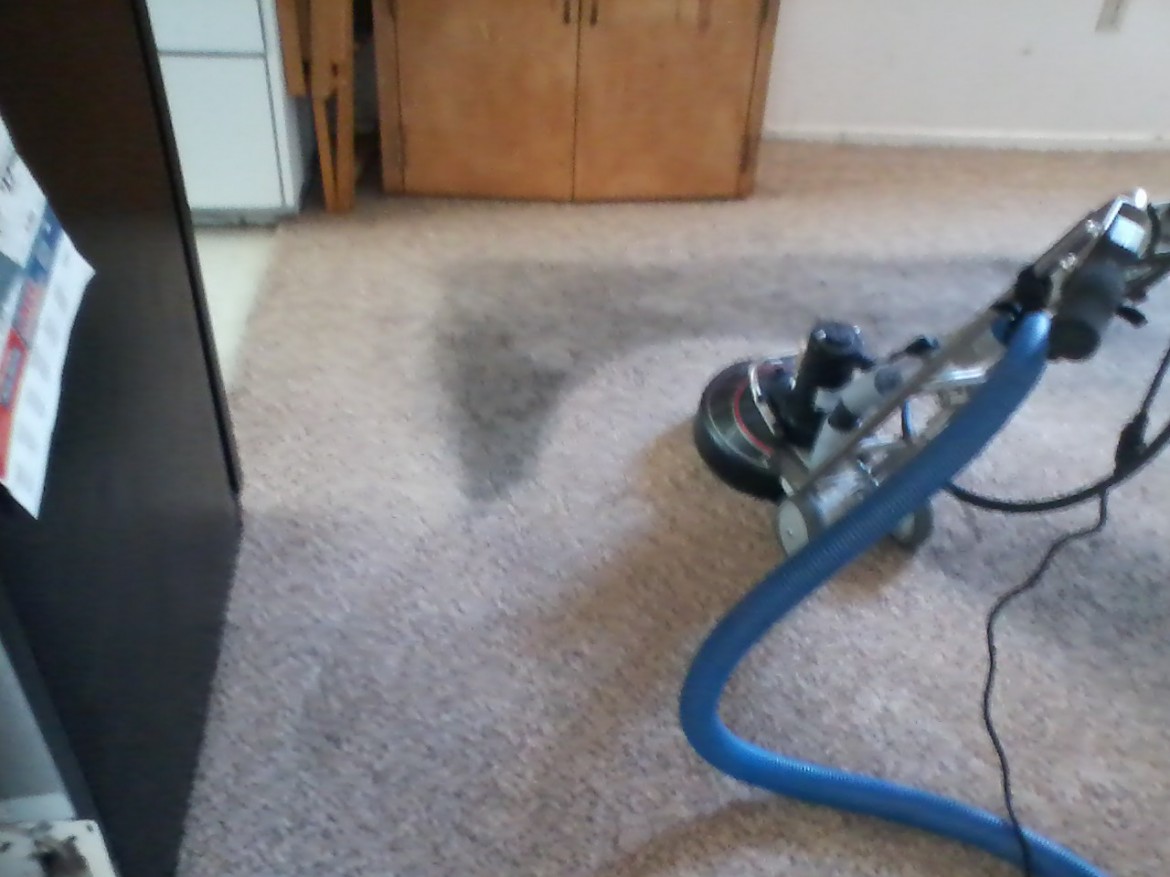 Roto Carpet Cleaning