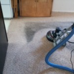 Roto Carpet Cleaning