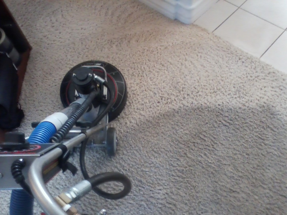 Roto Carpet Cleaning