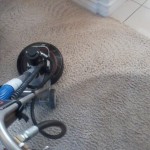 Roto Carpet Cleaning